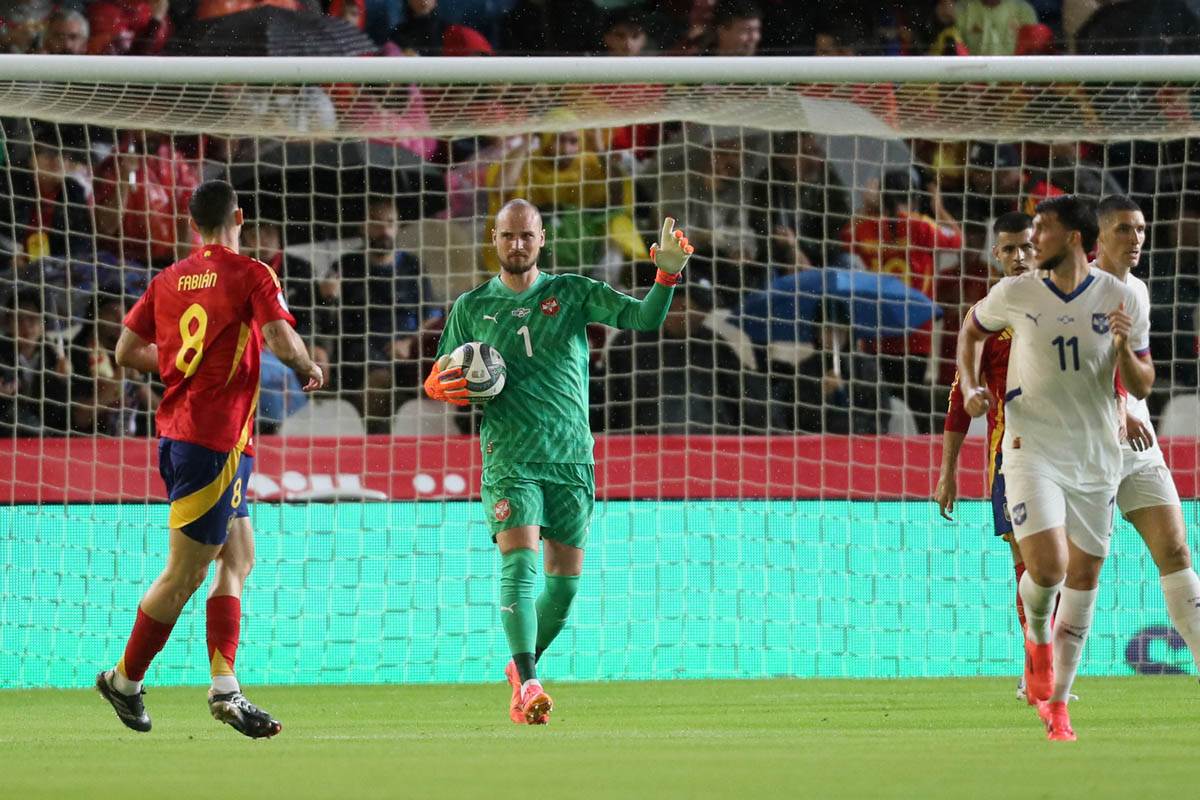 Dragan Stojković Piksi opsovao sudiju na Srbija - Španija