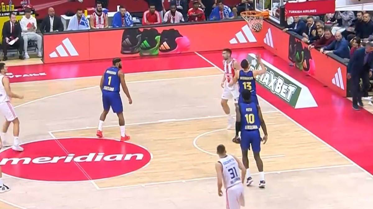 Pas utrčao na parket na utakmici Crvena zvezda Barselona