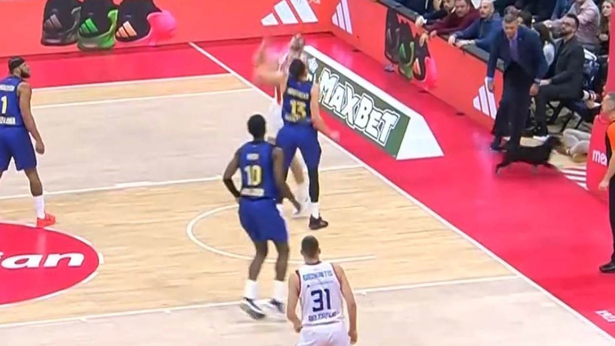 Pas utrčao na parket na utakmici Crvena zvezda Barselona