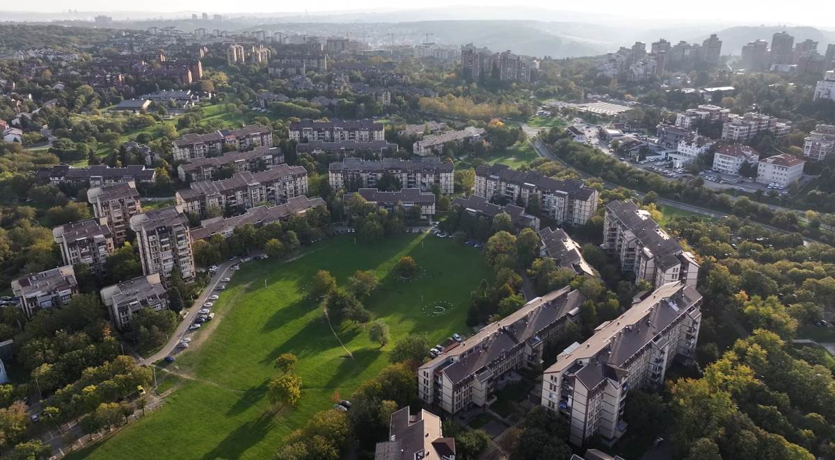 Cerak vinogradi (3).jpeg