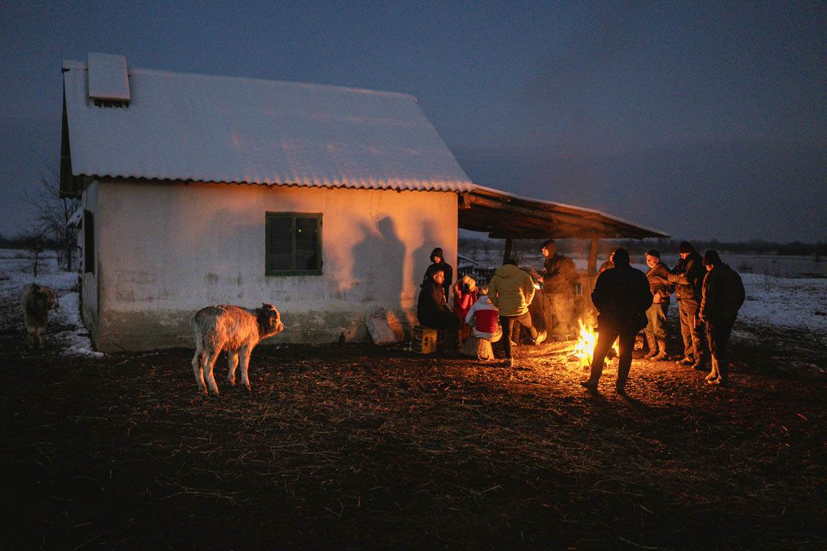 Krčedinska ada evakuacija životinja (8) copy.jpg