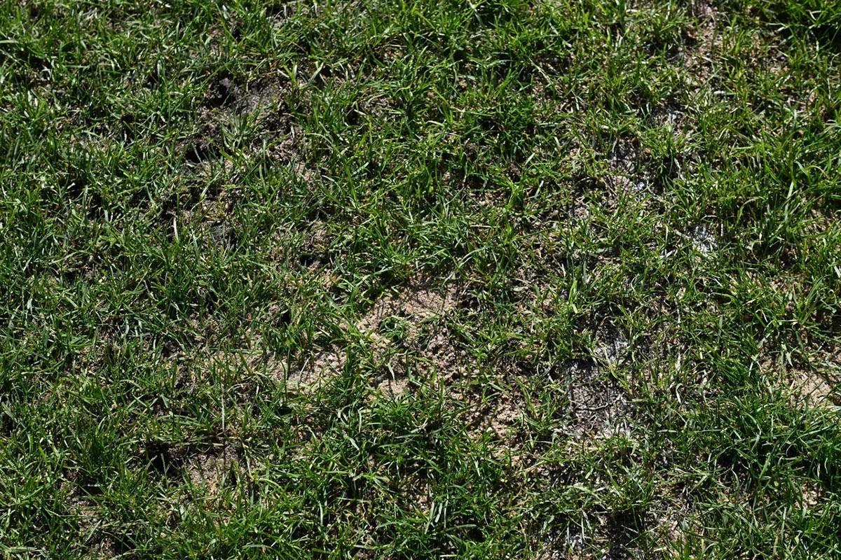 Inspekcija stadiona „Dubočica“ (9).jpg