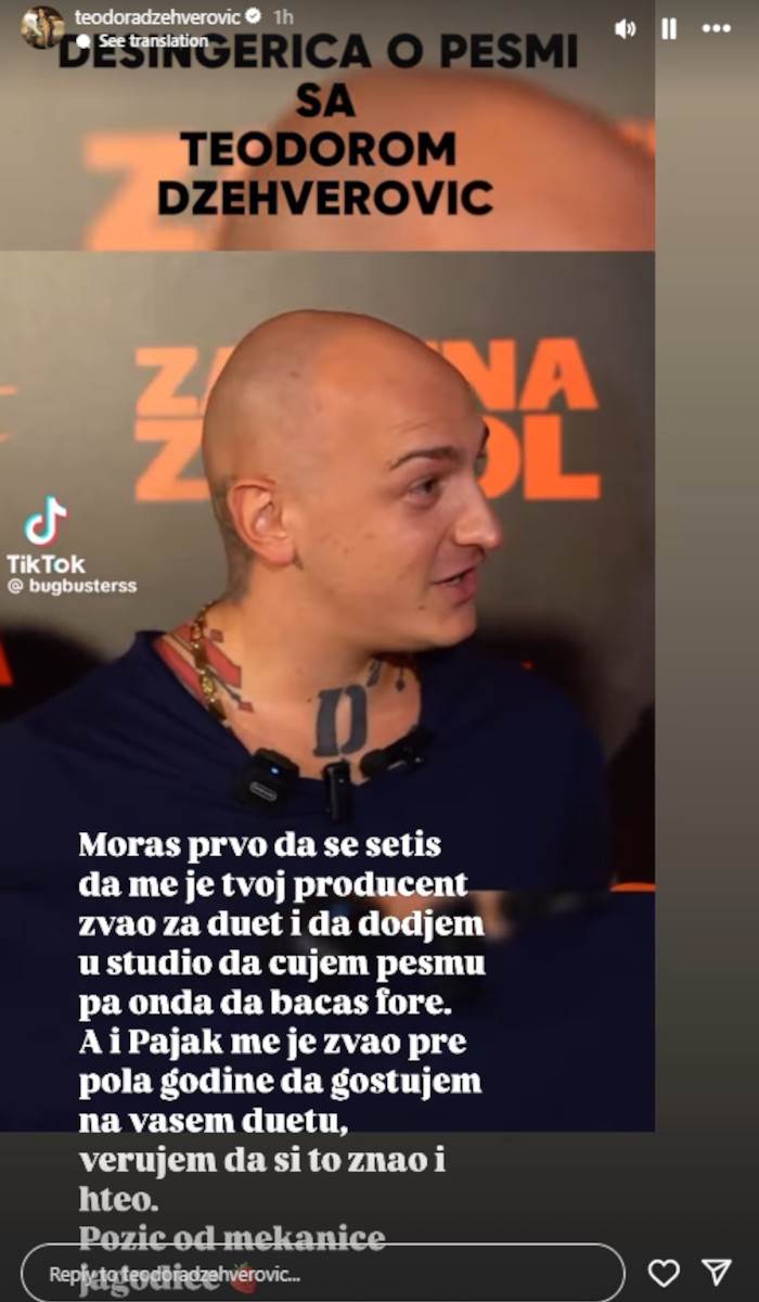 Desingerica objava Teodore džehverović.jpg