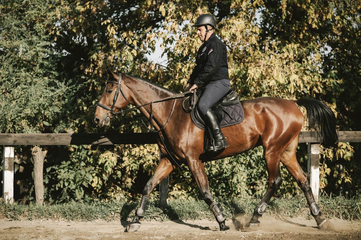 policijska_brigada_četa_konjanika_stefan_stojanović_11.jpg