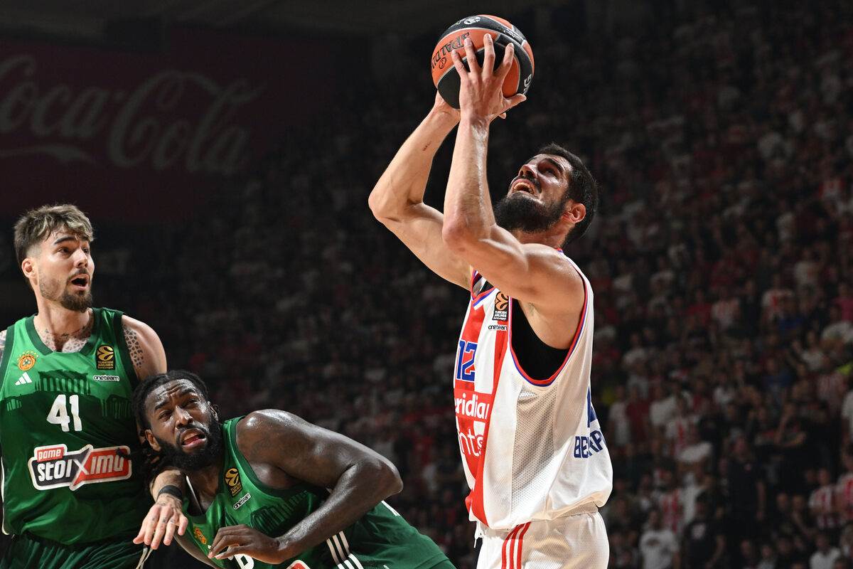 Crvena Zvezda Panatinaikos (6).JPG