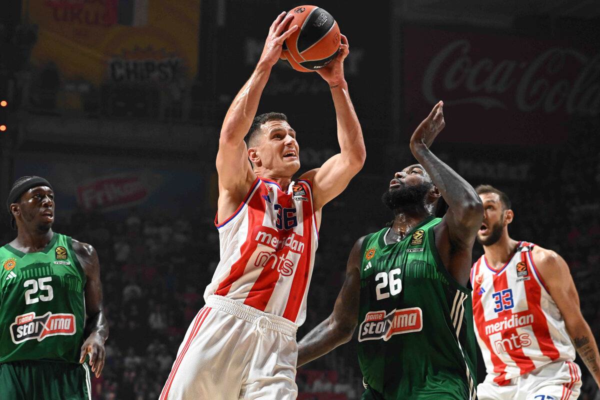 Crvena Zvezda Panatinaikos (8).JPG