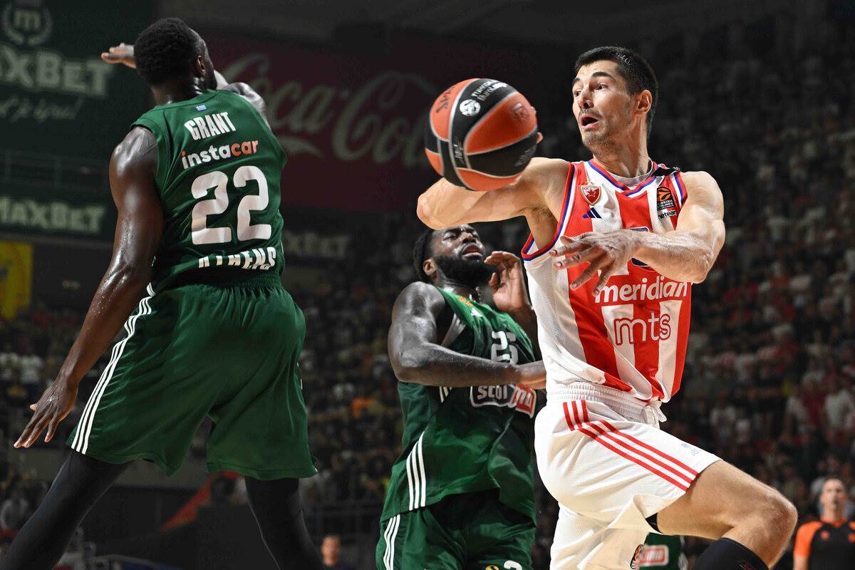 Crvena Zvezda Panatinaikos (16).JPG