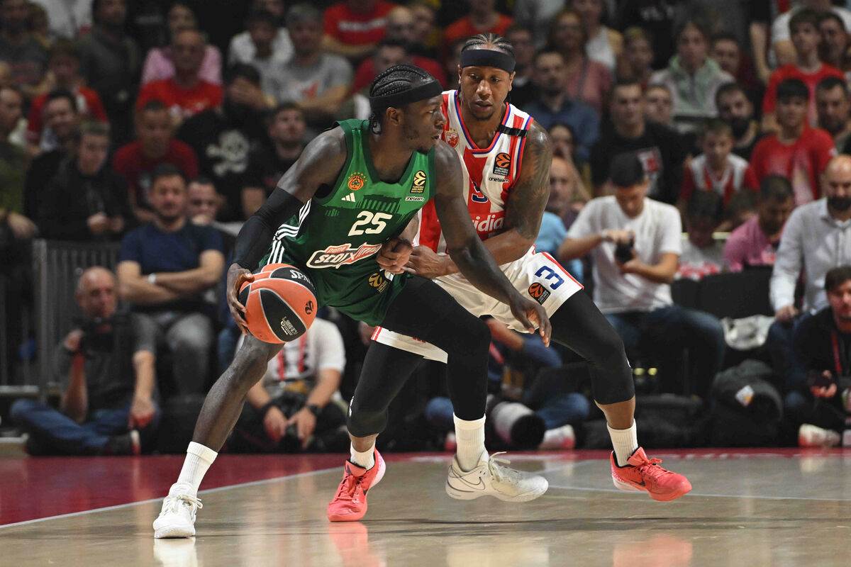 Crvena Zvezda Panatinaikos (18).JPG