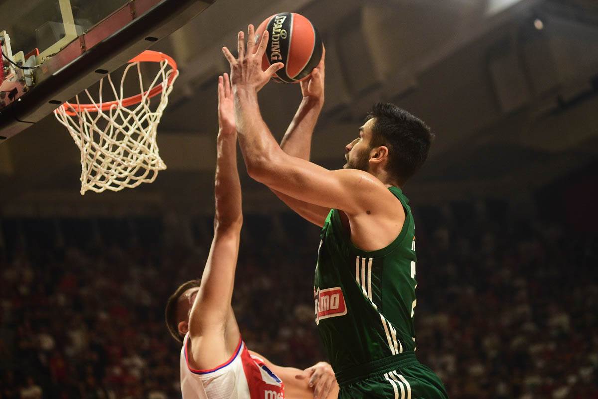 Panatinaikos Crvena Zvezda (24).jpg