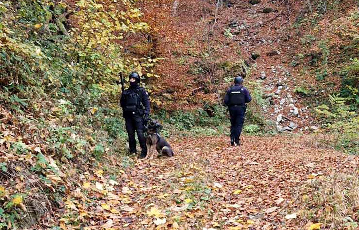 Potraga-Balijagic (9).jpg