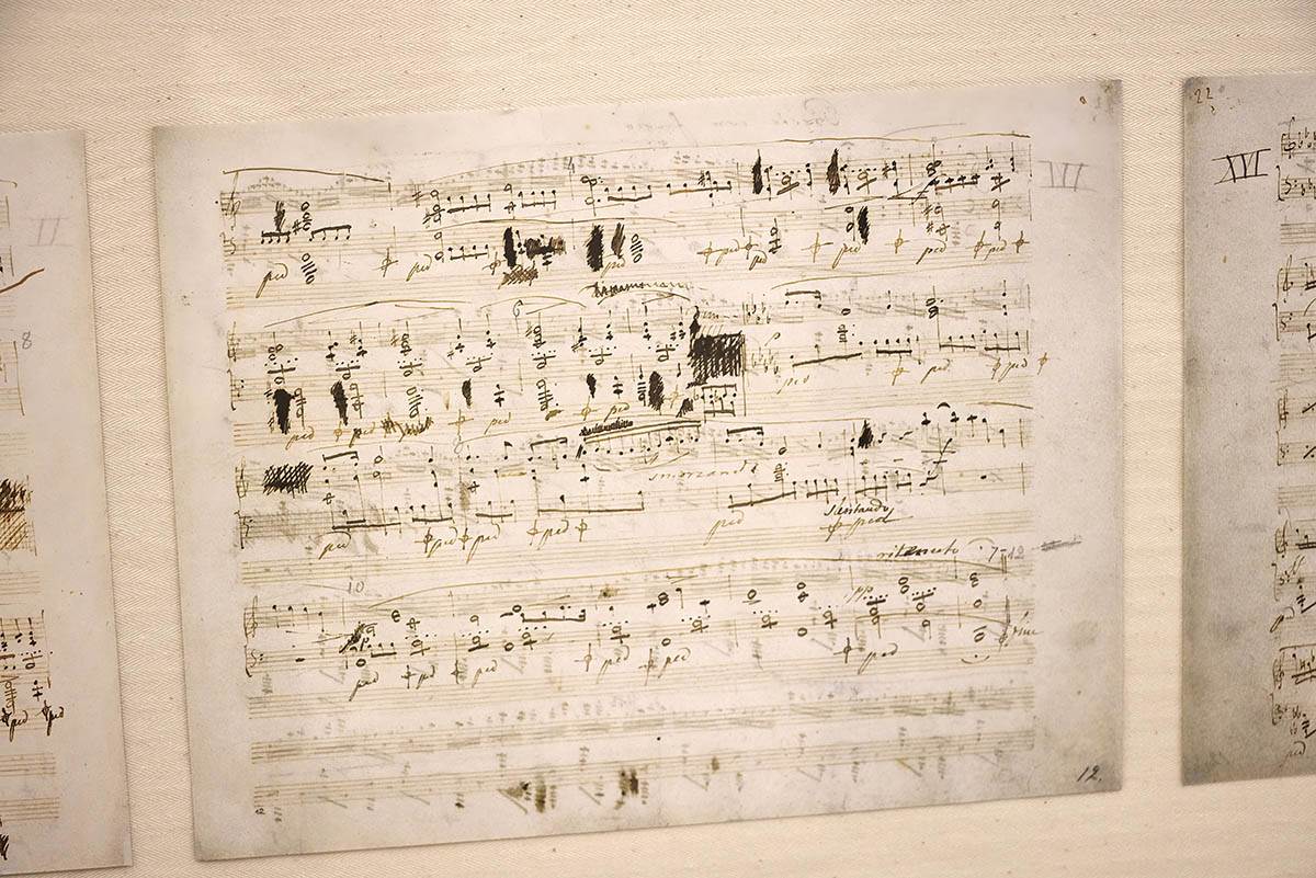 Frederik Šopen (1).jpg