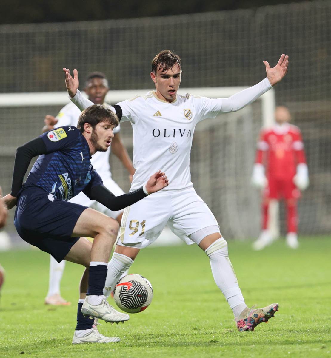 cukaricki zeleznicar (4).jpg