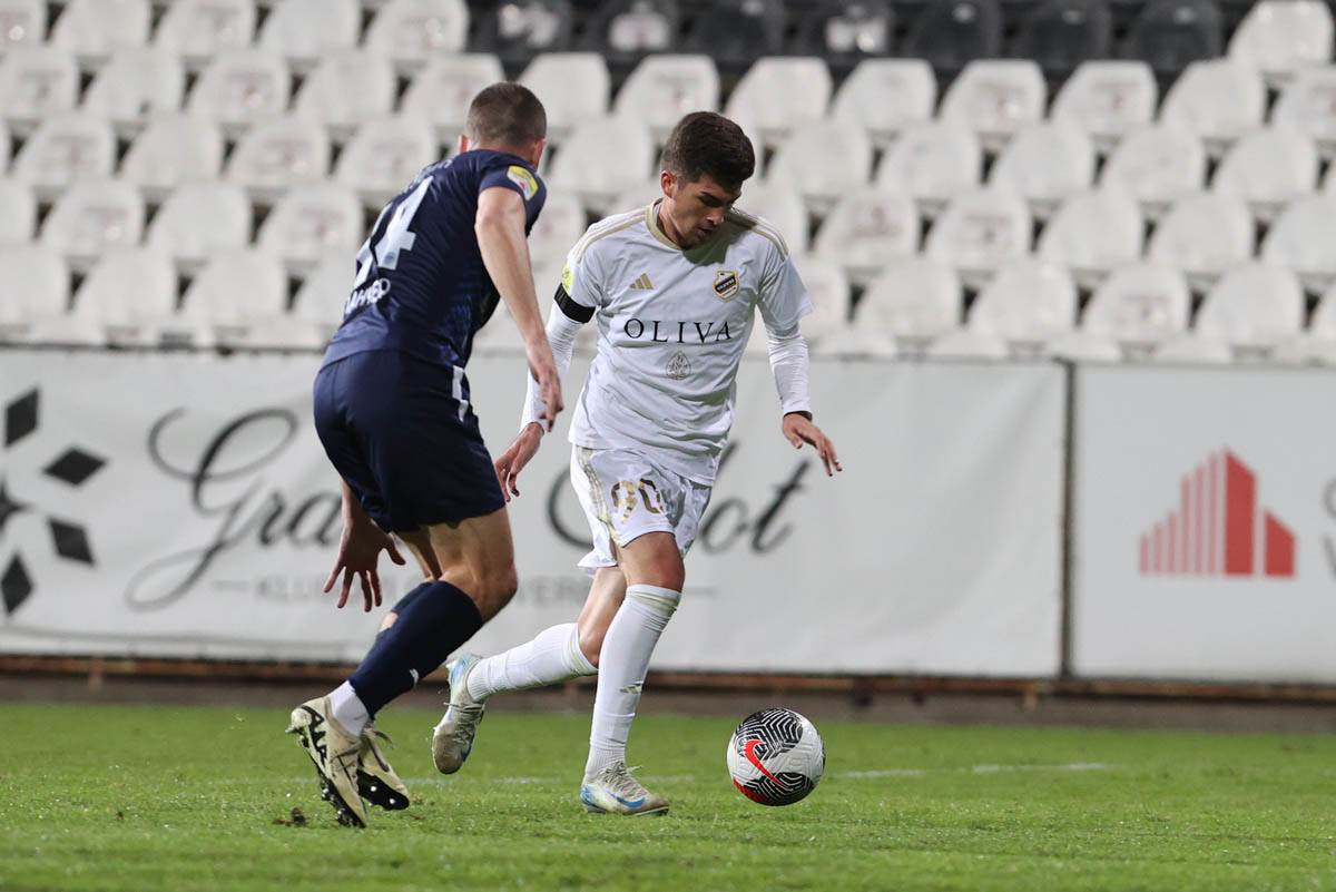 cukaricki zeleznicar (5).jpg