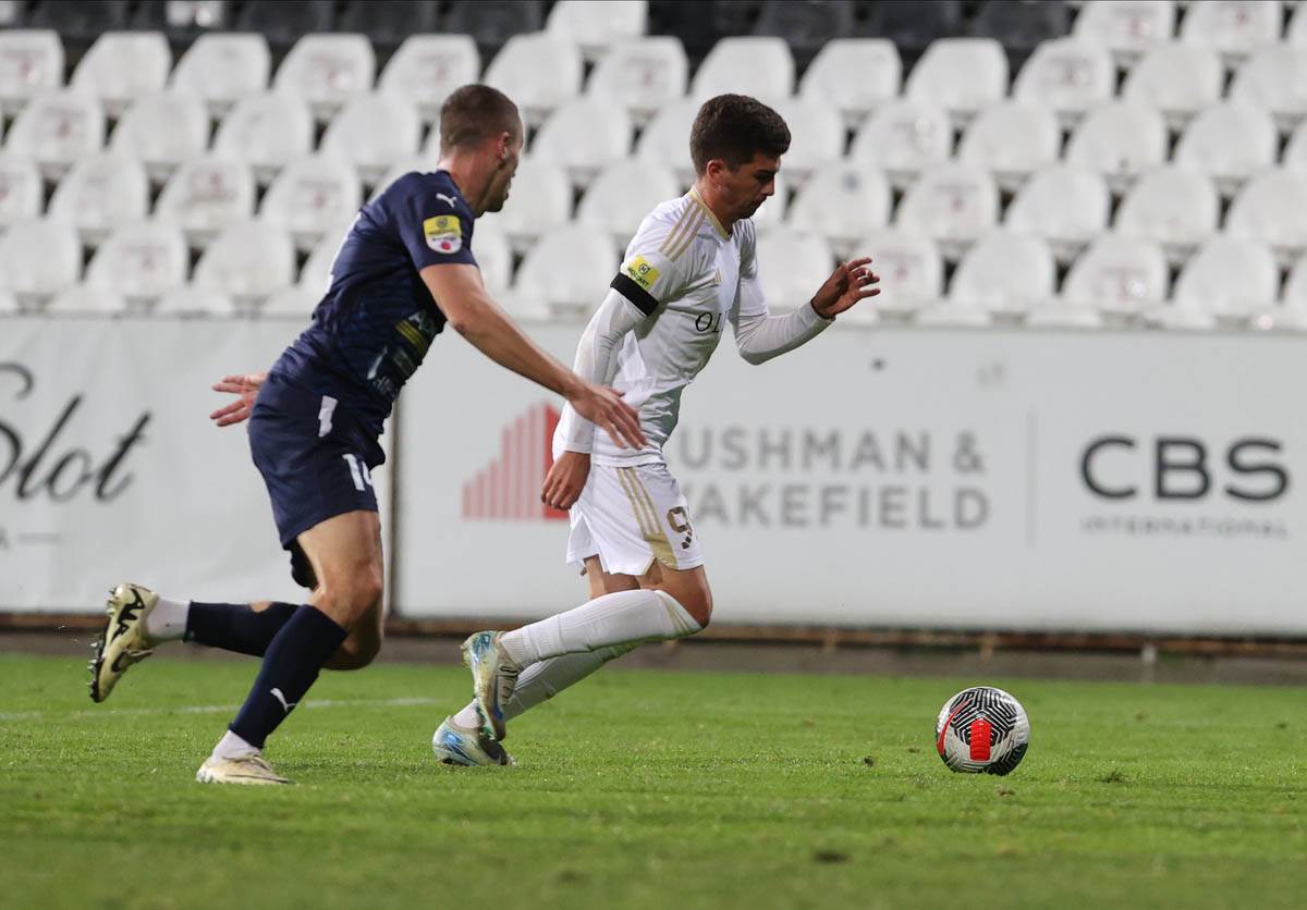 cukaricki zeleznicar (6).jpg