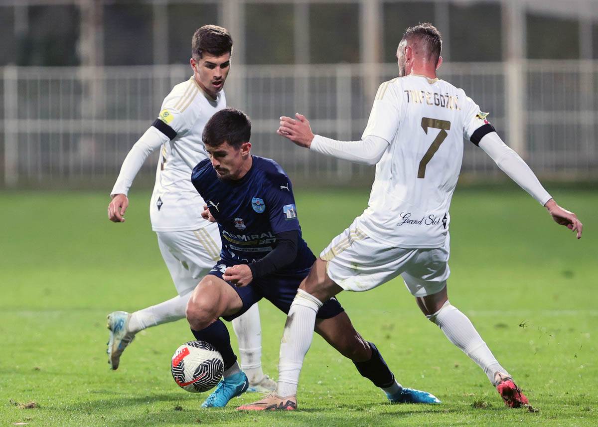 cukaricki zeleznicar (12).jpg