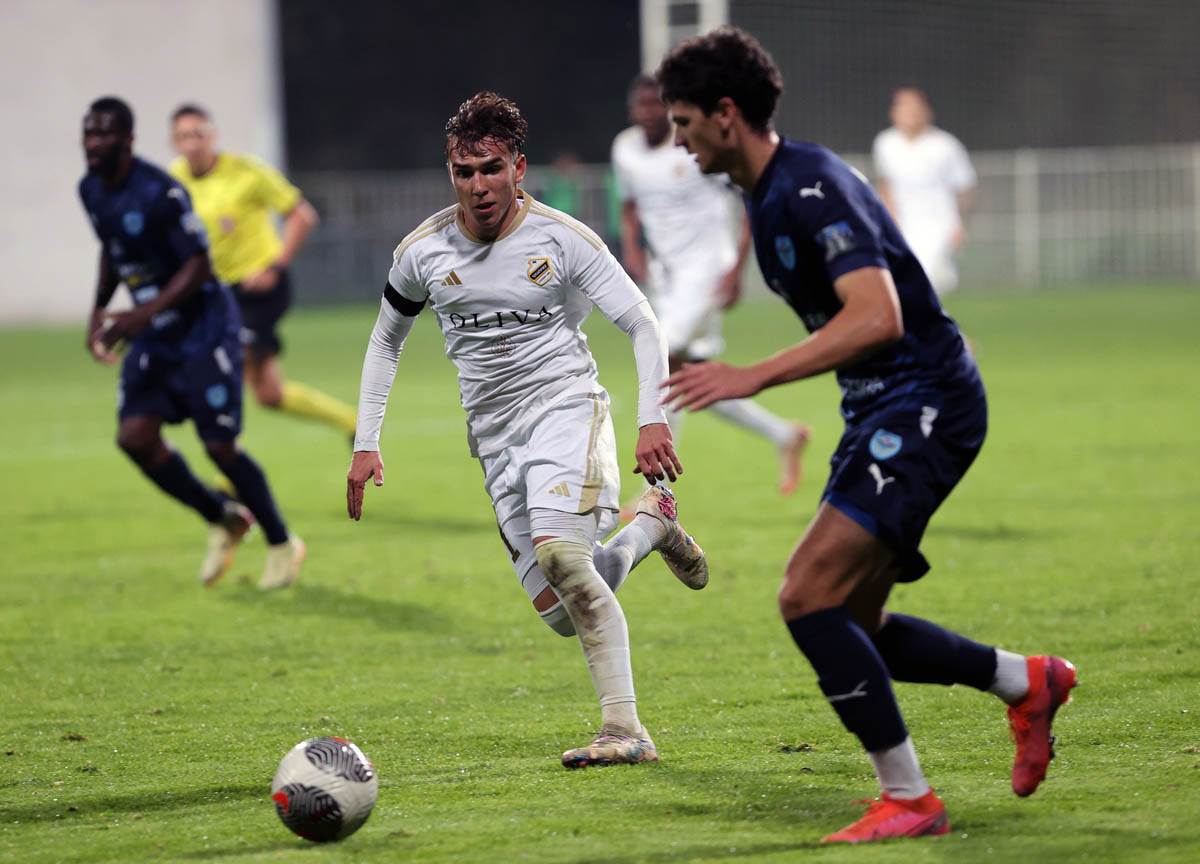 cukaricki zeleznicar (13).jpg