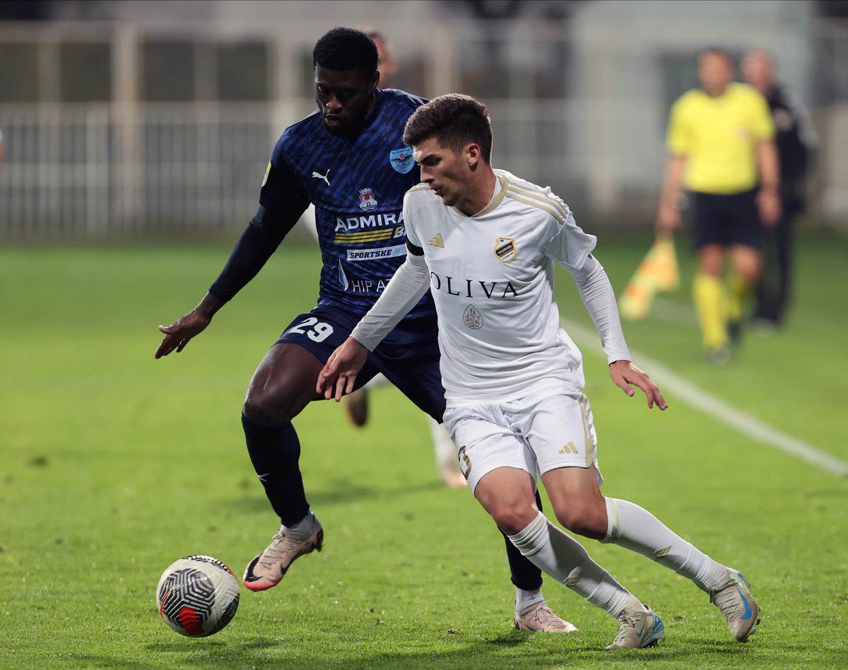 cukaricki zeleznicar (16).jpg