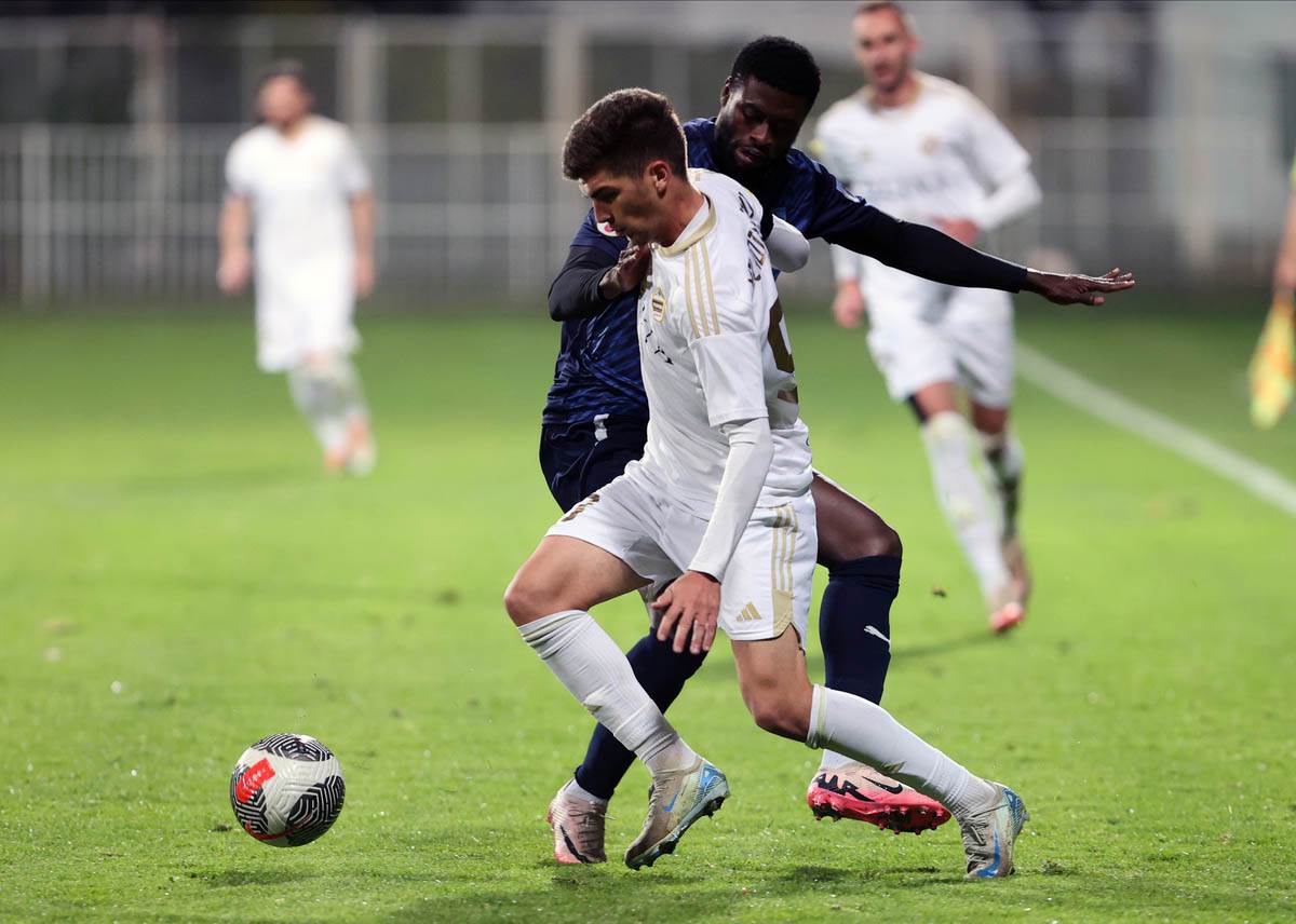 cukaricki zeleznicar (17).jpg