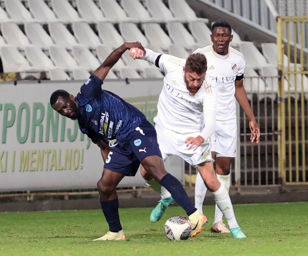 cukaricki zeleznicar (19).jpg