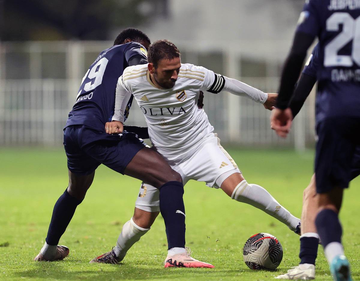 cukaricki zeleznicar (20).jpg