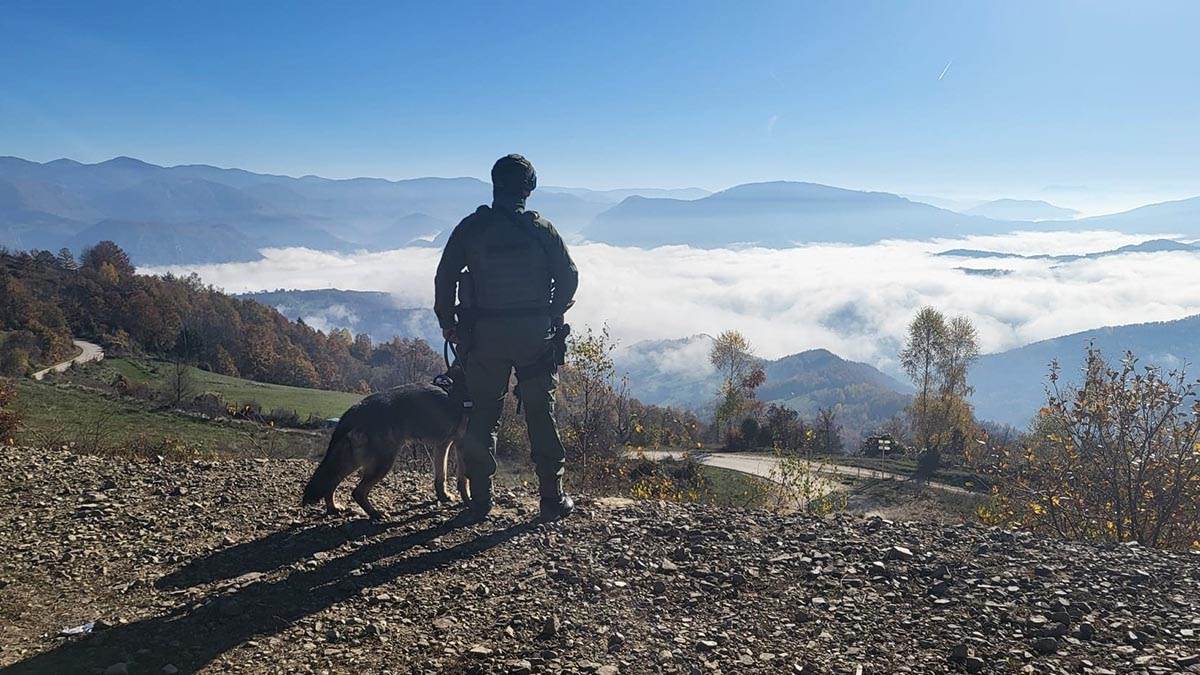 Potraga za ubicom iz Bijelog Polja