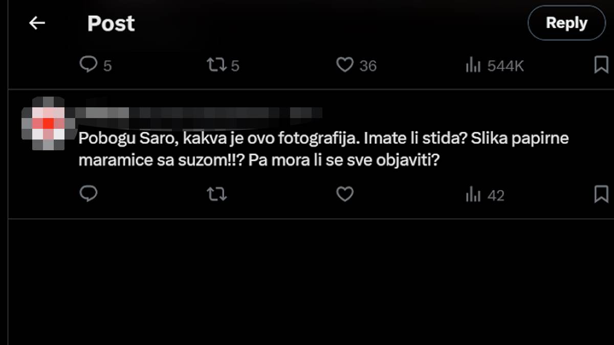 Sara jo komentar 2.jpg