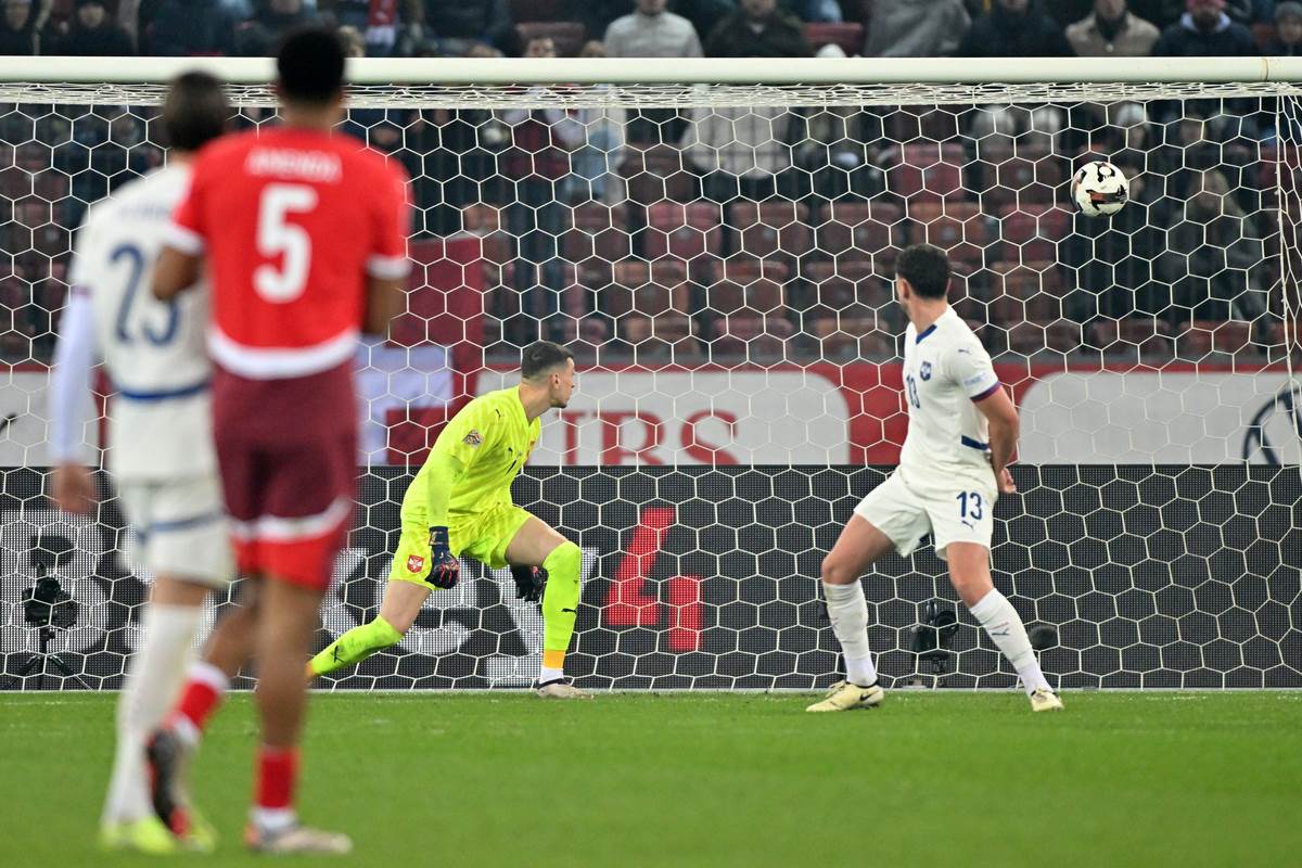 Srbija Švajcarska  (6).JPG