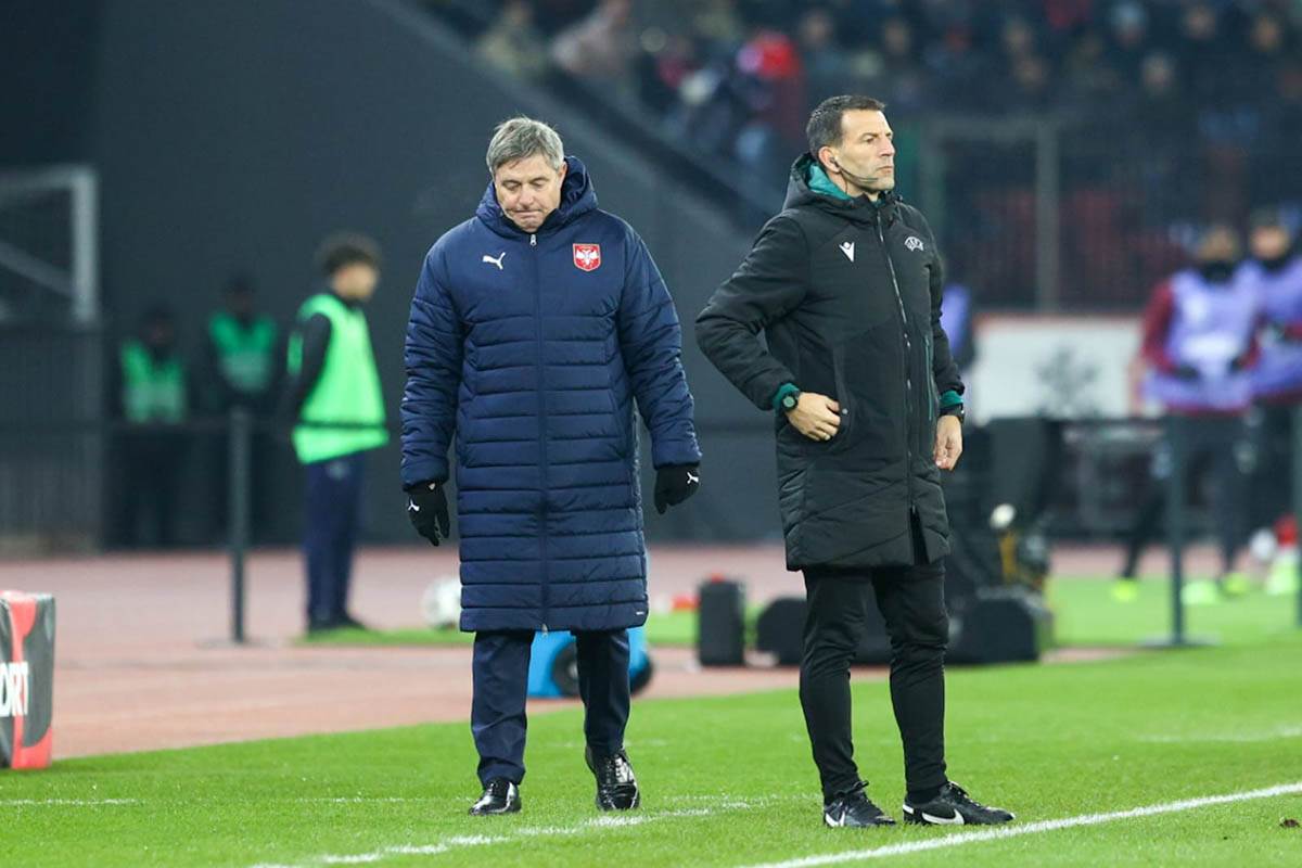 švajcarska - srbija (11).jpg