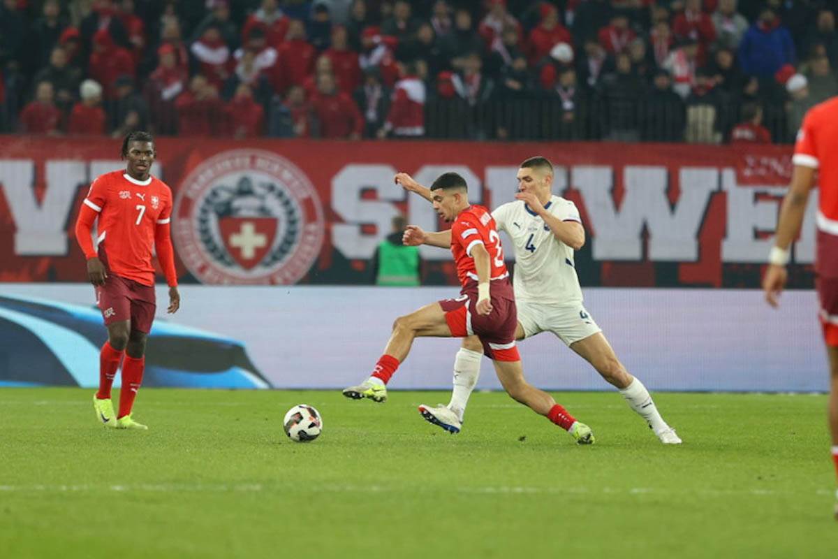 švajcarska - srbija (12).jpg