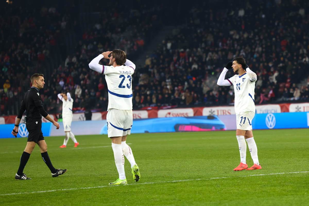 švajcarska - srbija (13).jpg