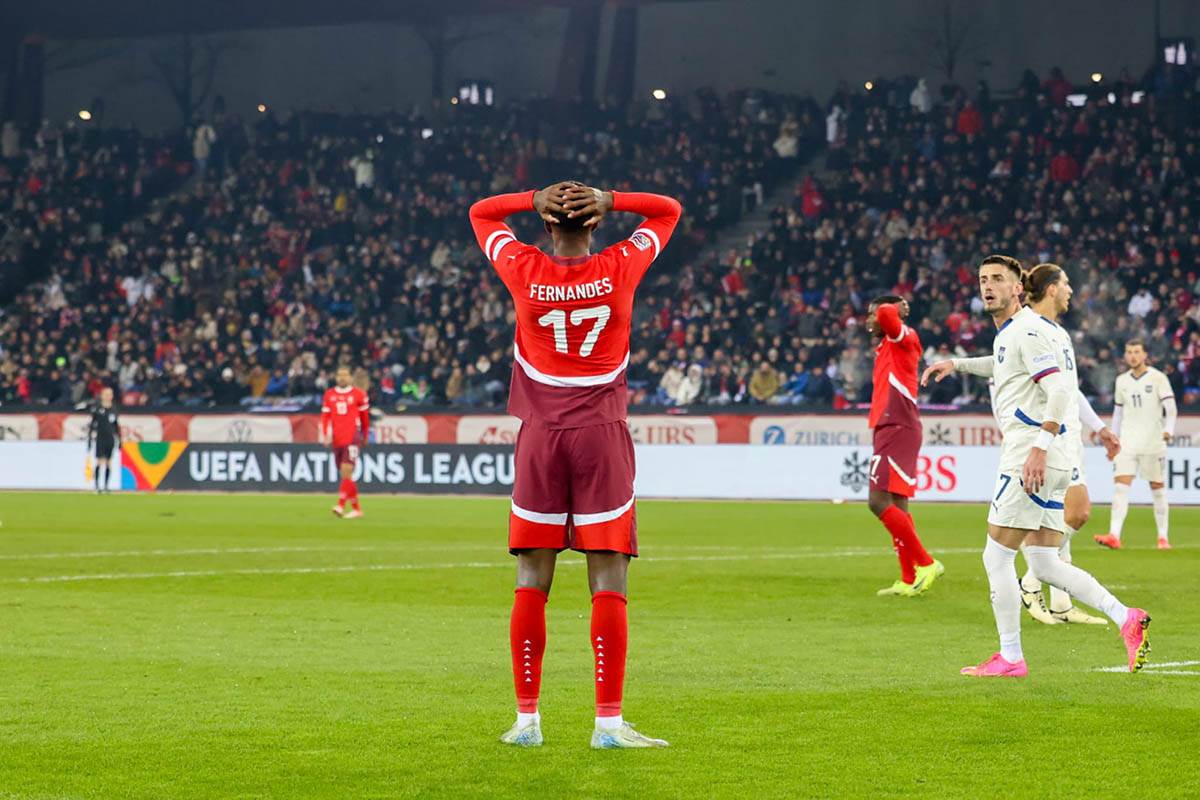 švajcarska - srbija (14).jpg