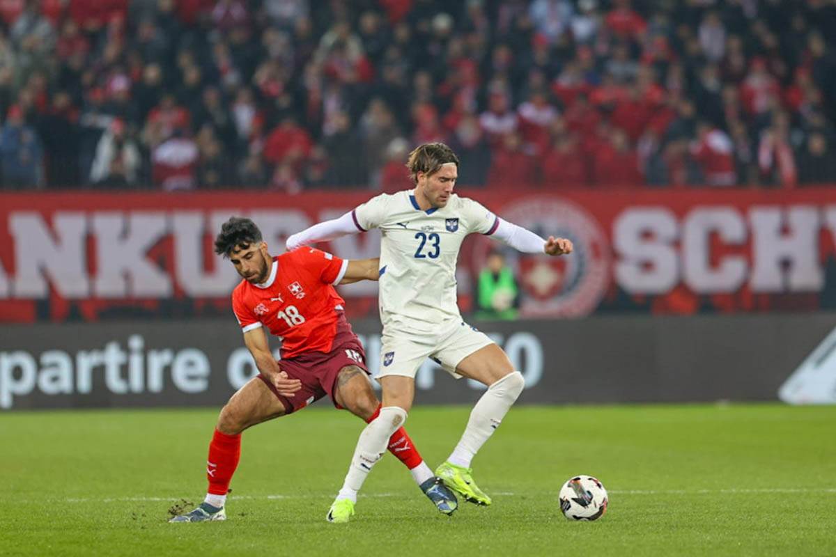 švajcarska - srbija (16).jpg