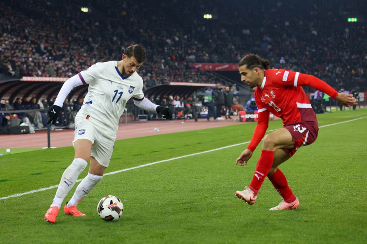 švajcarska - srbija (17).jpg