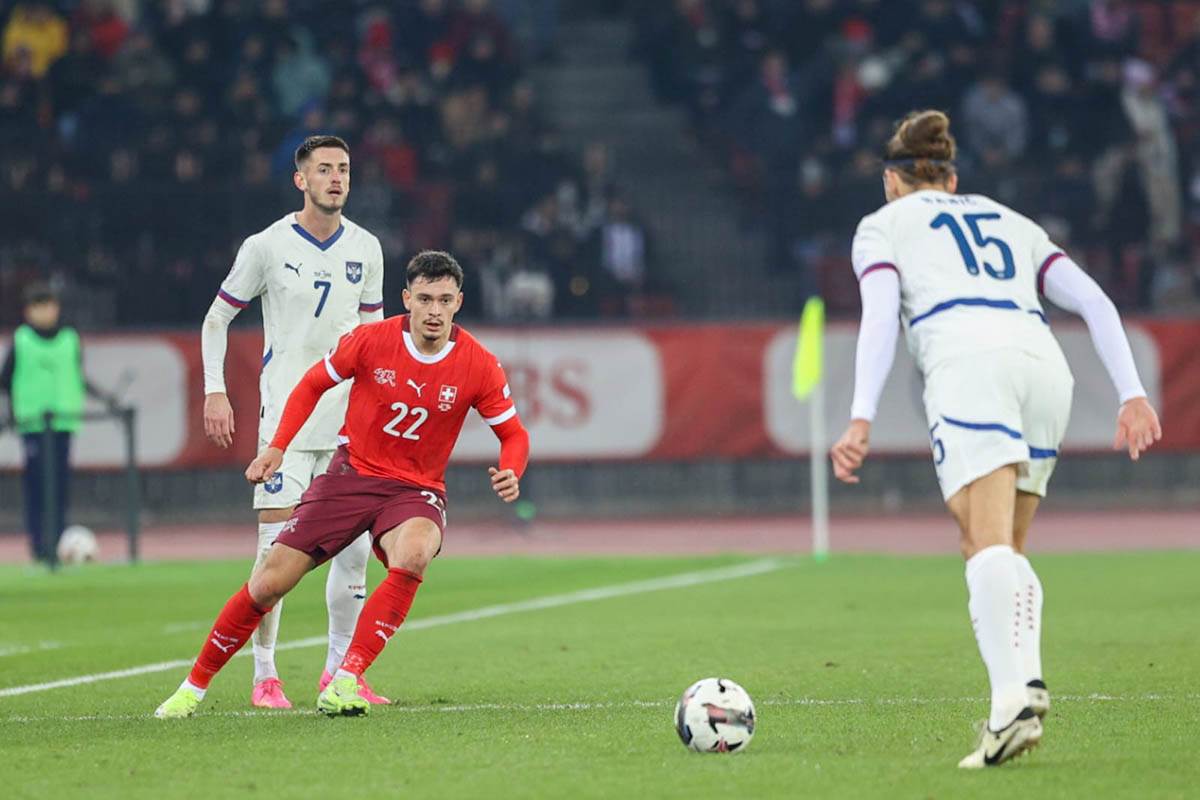 švajcarska - srbija (18).jpg