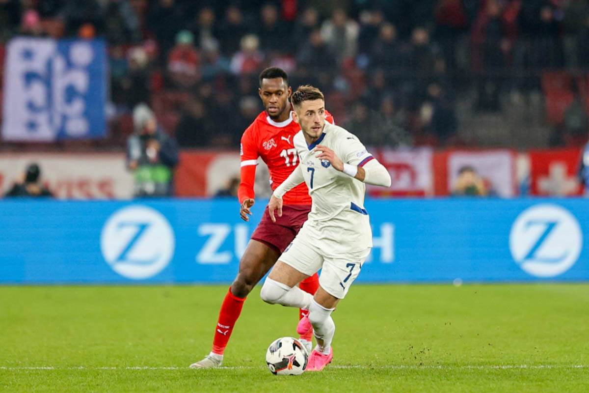 švajcarska - srbija (20).jpg