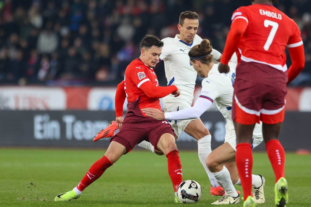 švajcarska - srbija (23).jpg