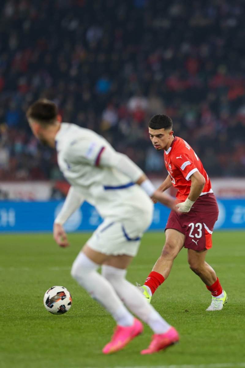 švajcarska - srbija (26).jpg