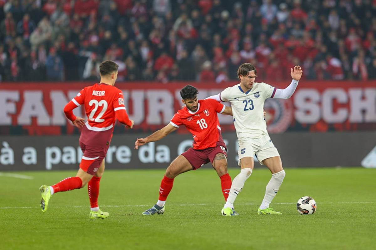 švajcarska - srbija (31).jpg