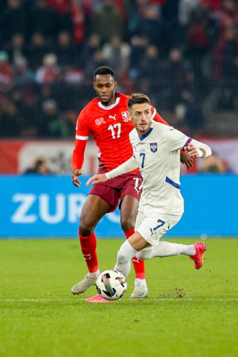 švajcarska - srbija (32).jpg