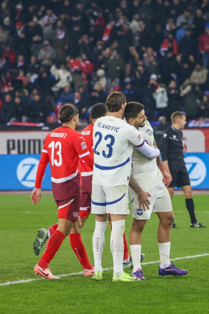 švajcarska - srbija (35).jpg