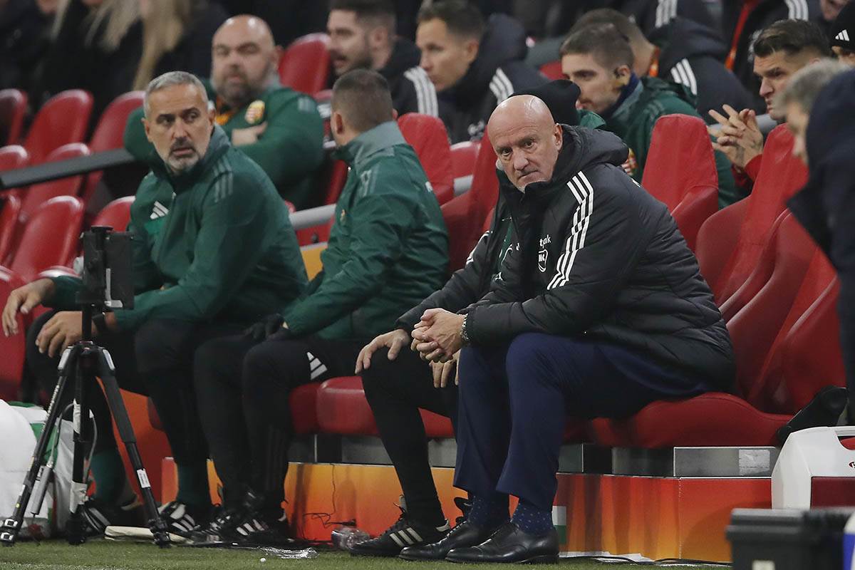 Mađarska - Holandija (4).jpg