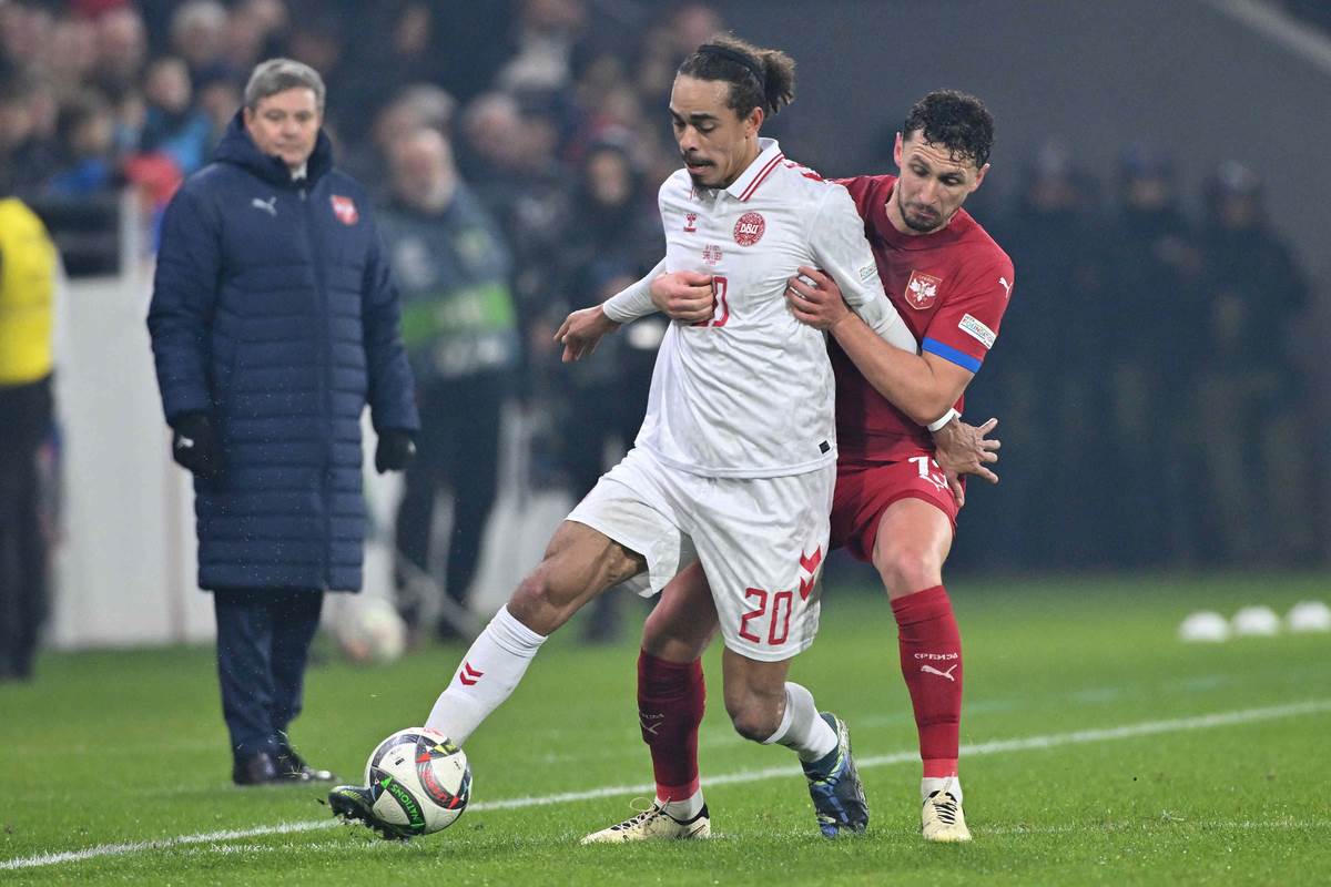 Srbija Danska (6).JPG