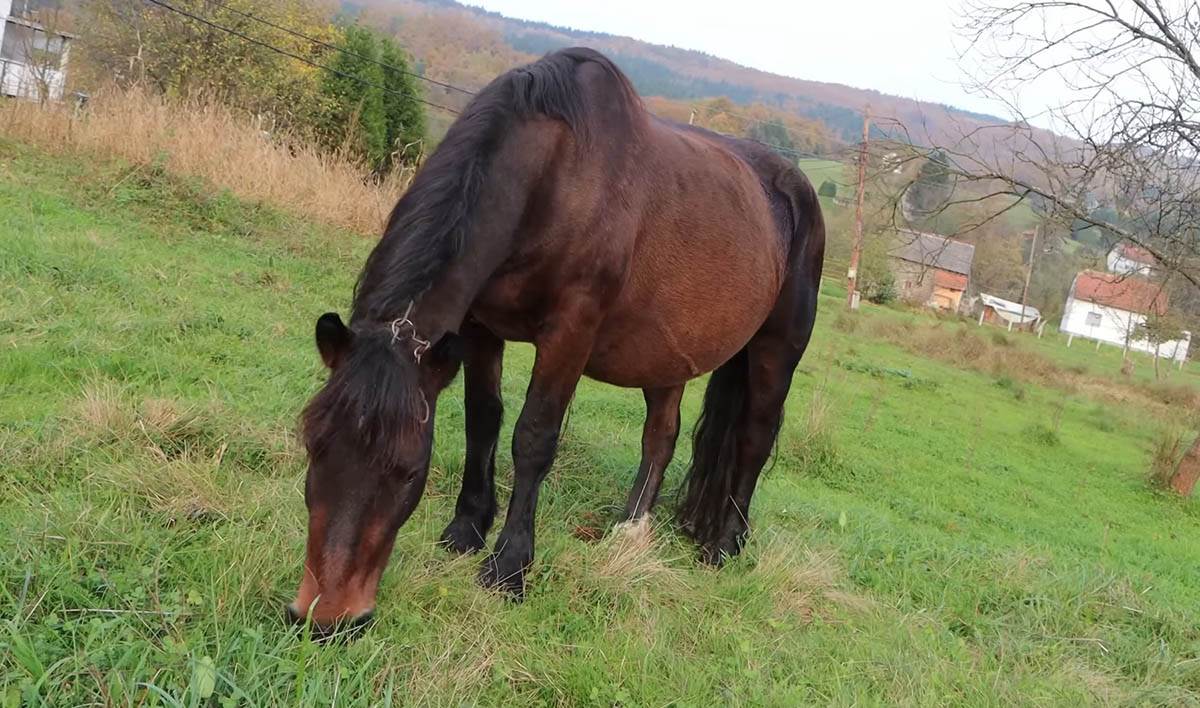 Martina Batista (1).jpg