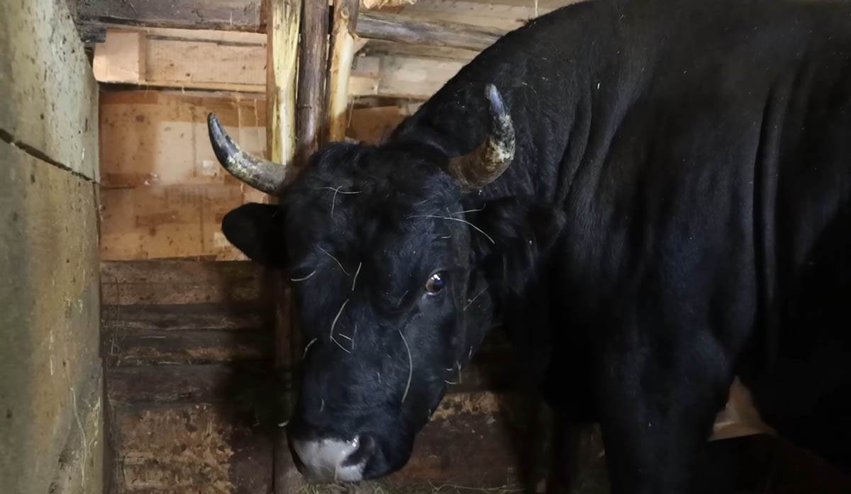 Martina Batista (7).jpg