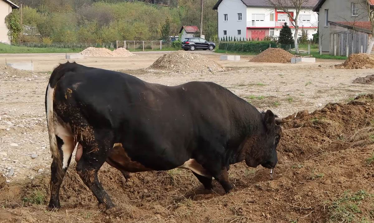 Martina Batista (10).jpg