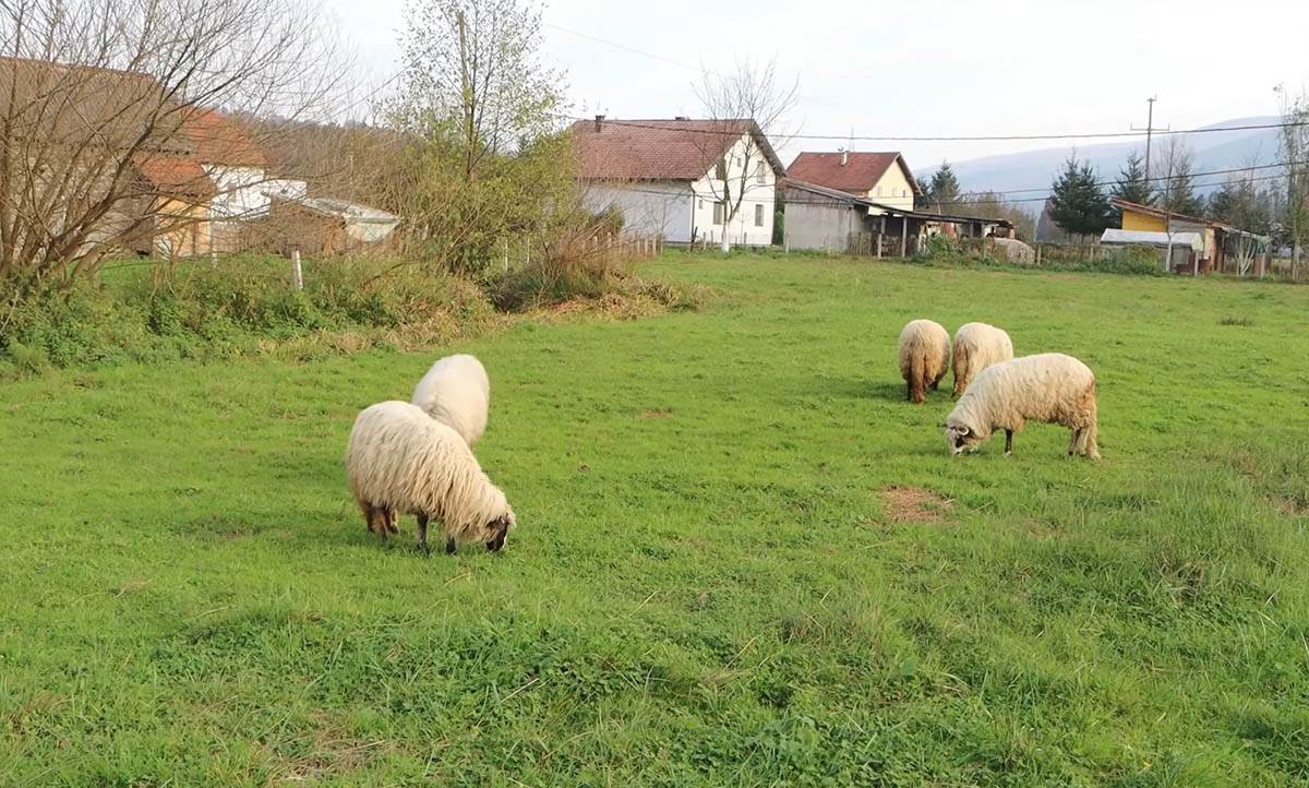 Martina Batista (14).jpg