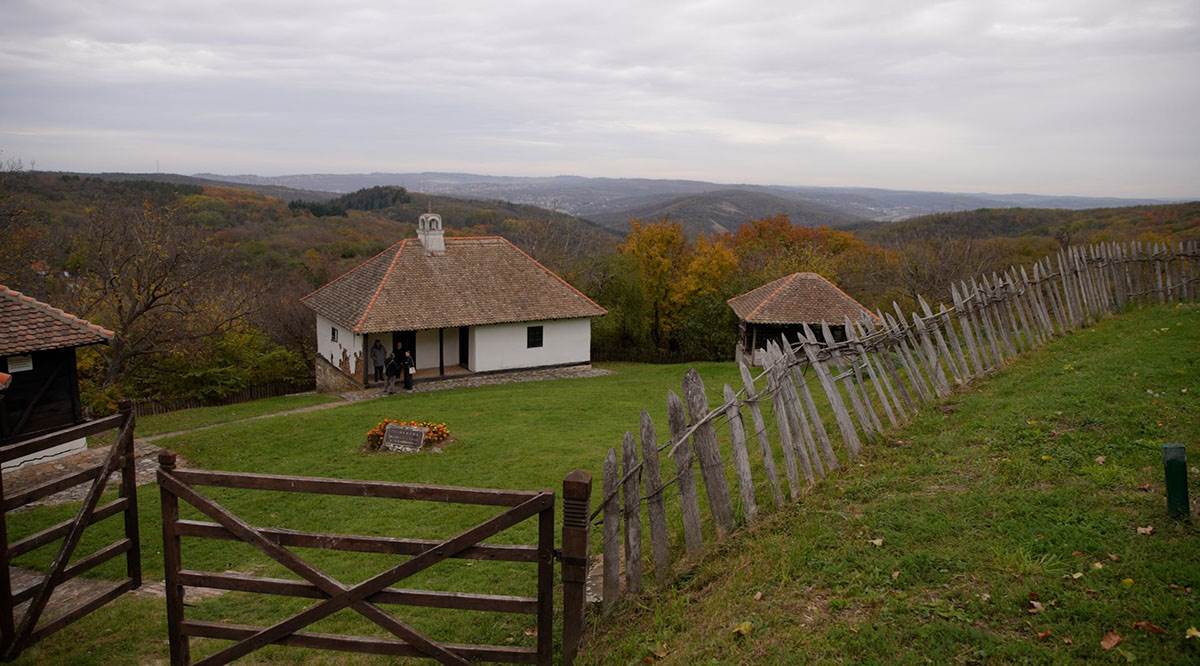 RODNA KUĆA STEPE STEPANOVIĆA (5).jpg