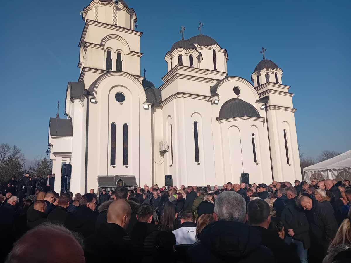 Palma sahrana (2).jpg