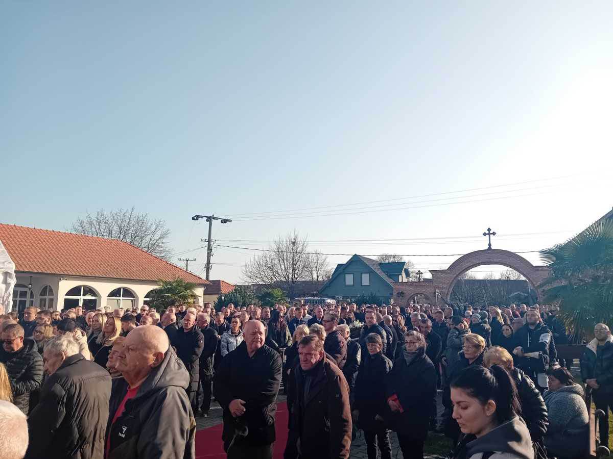 Palma sahrana (3).jpg