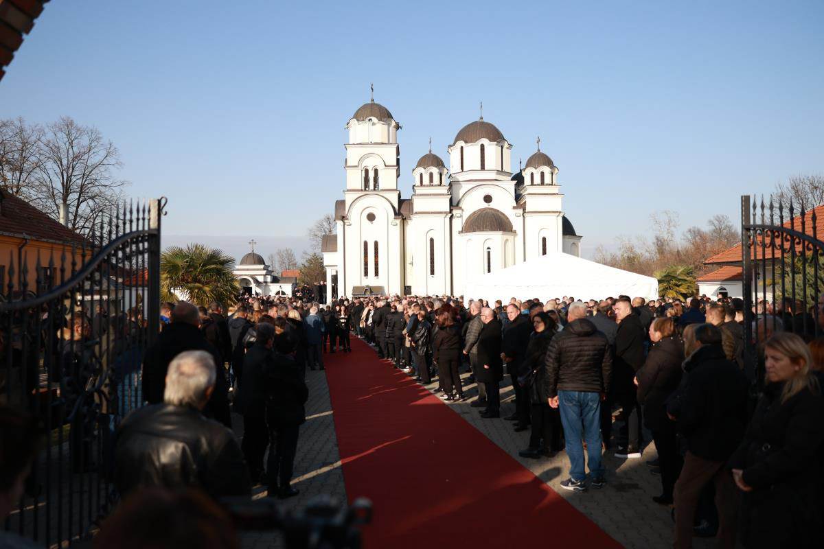 Palma sahrana (4).jpg